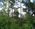 images/Schweden/Schweden 2012/IMG_0660.jpg